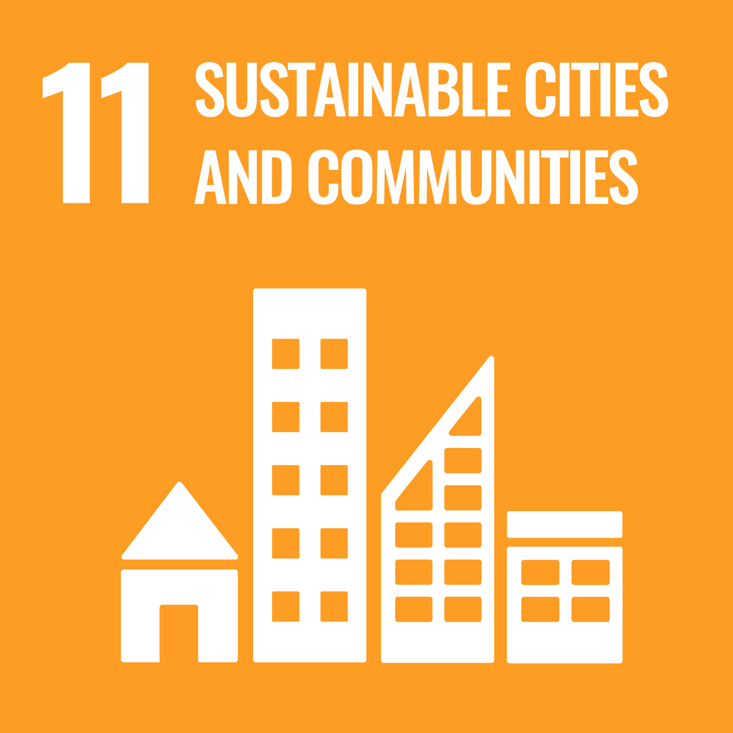 11_cities