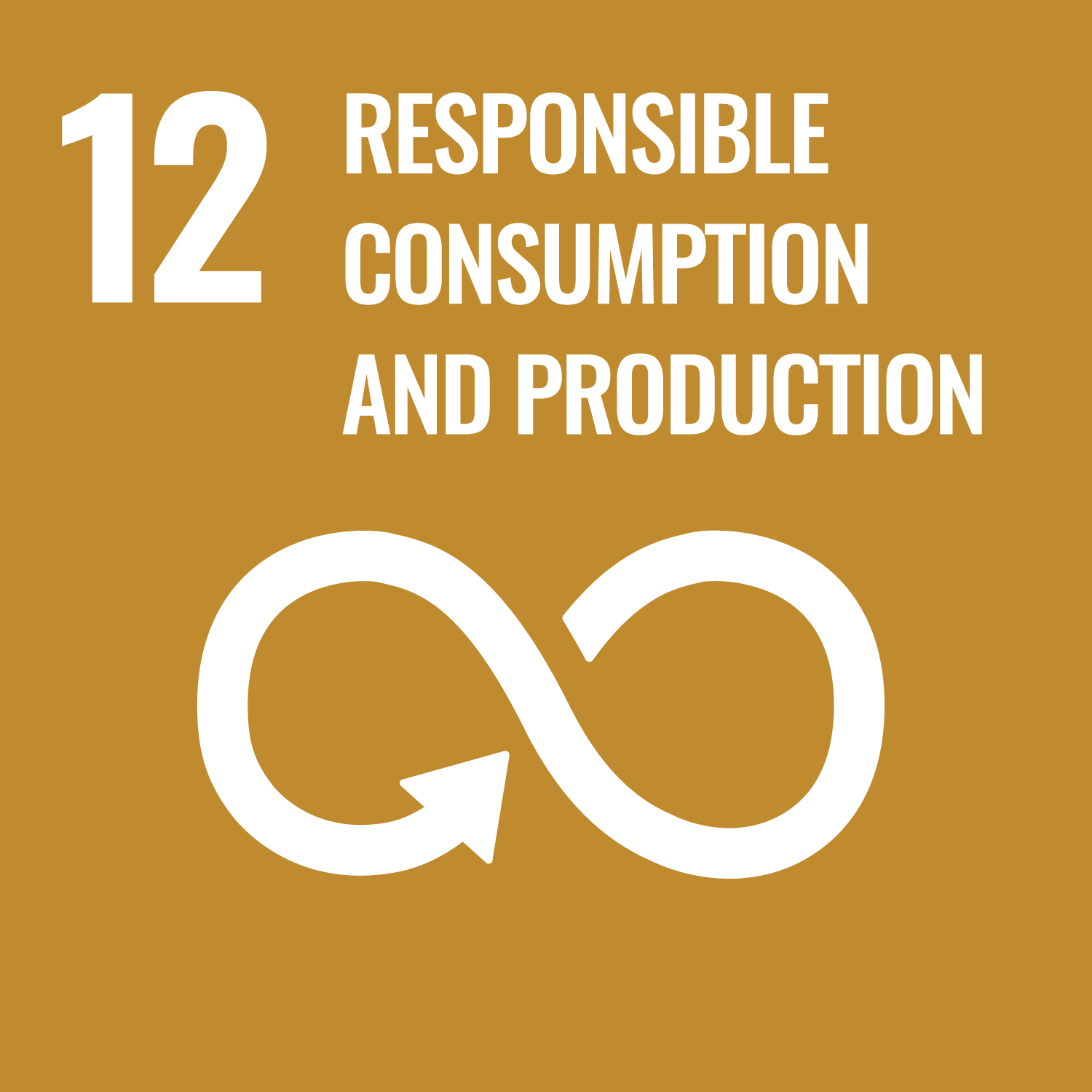 12_sustainable-consumption-production