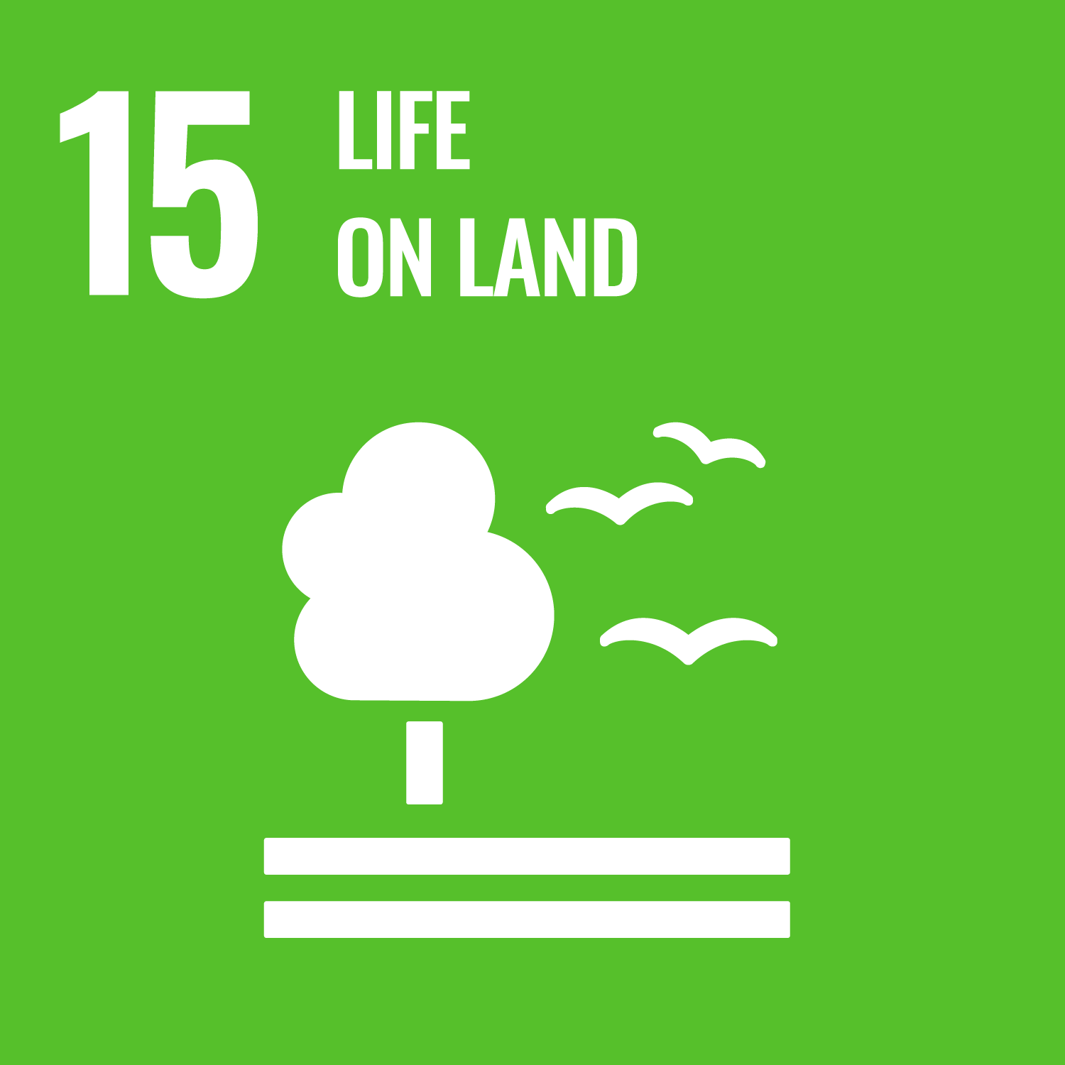 15_biodiversity