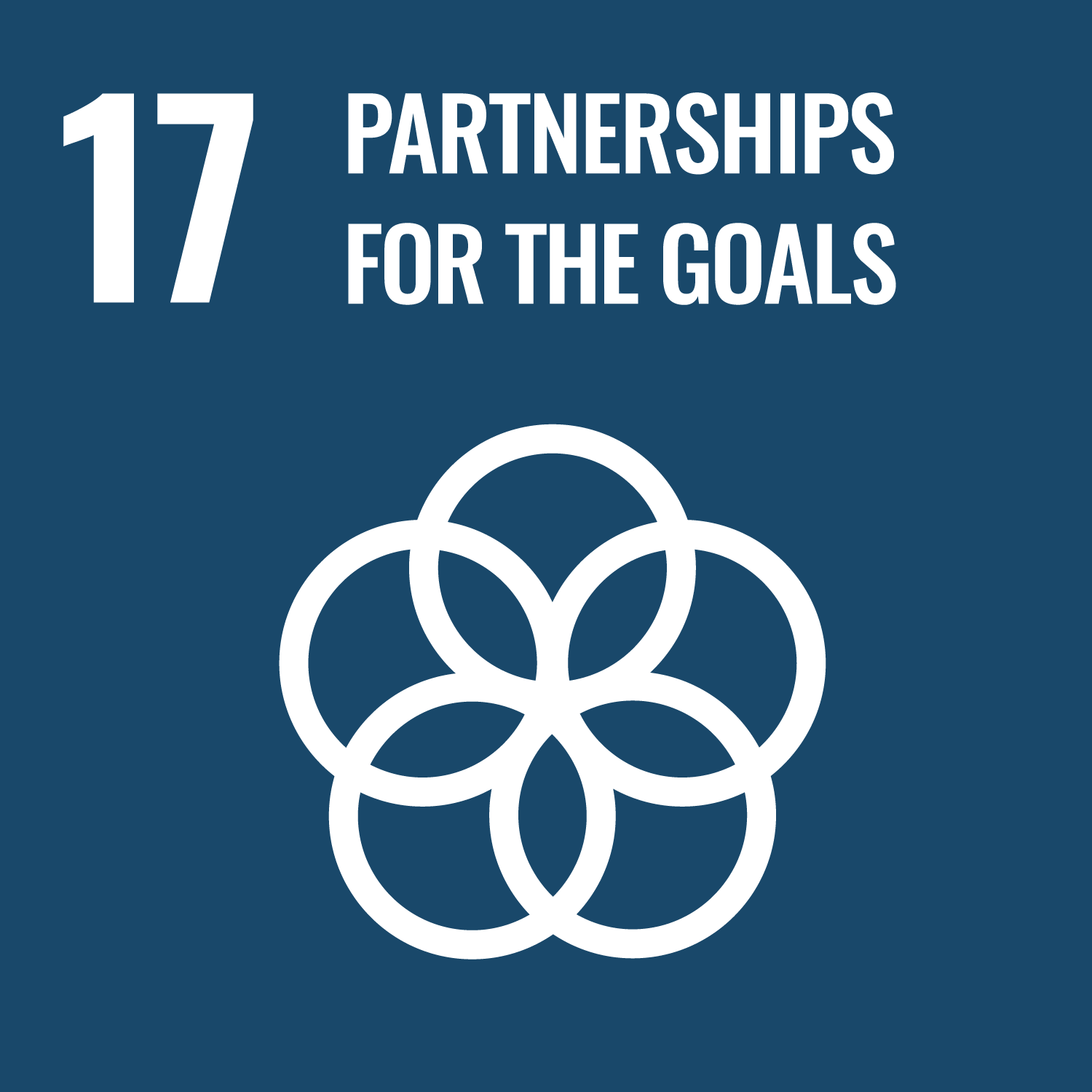 17_globalpartnerships