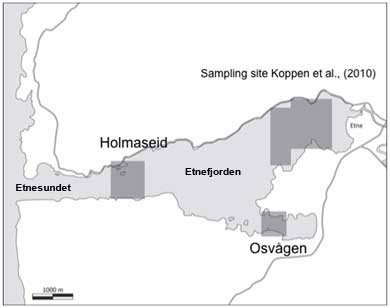 Kart som viser Etnefjorden