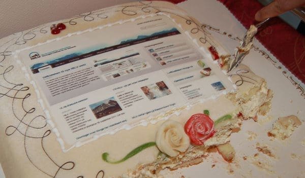 Kake i anledning NILUs nye web
