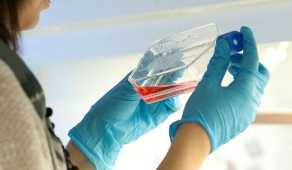 Prøvetaking i laboratorie