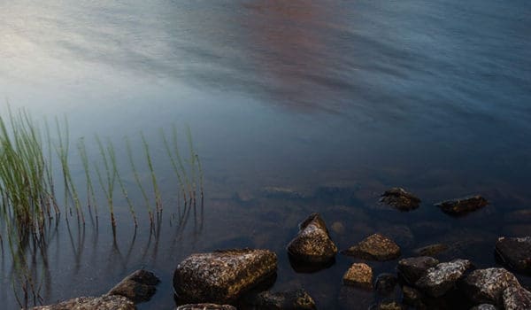 Stein og gress i vann. Detalj fra bilde a Storvatnet i Lofoten