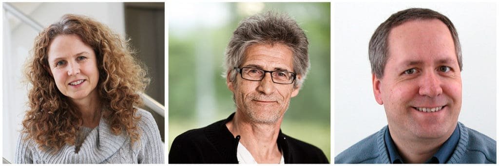 Britt Ann K. Høiskar, Dag Tønnesen og Sam Erik Walker, NILU