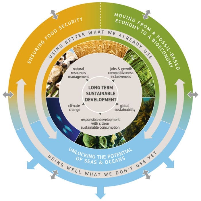 Illustrasjon: EU-kommisjonen (http://ec.europa.eu/research/bioeconomy/index.cfm?pg=policy)