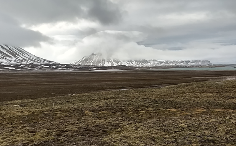 Tundra på Svalbard