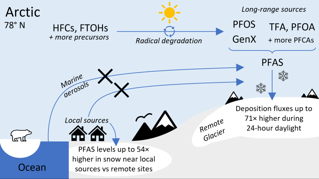 Graphic showing how PFAS are deposited in the snow in the Arctic