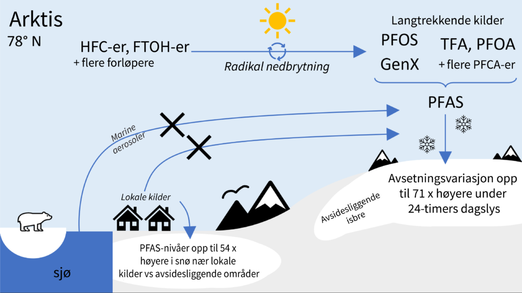 Grafisk fremstilling av hvordan PFAS-stoffer kommer til snøen på Svalbard